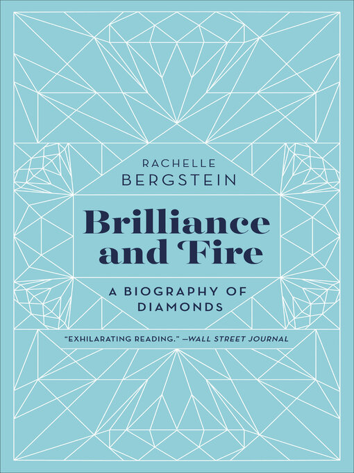 Title details for Brilliance and Fire by Rachelle Bergstein - Wait list